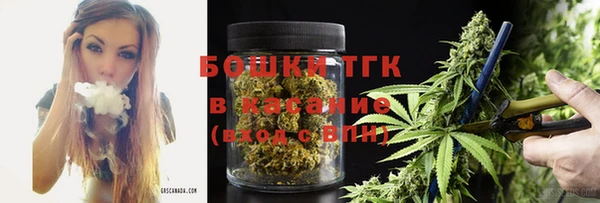 гидра Аркадак