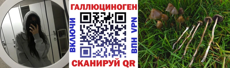 Псилоцибиновые грибы мухоморы OMG ссылка Слюдянка